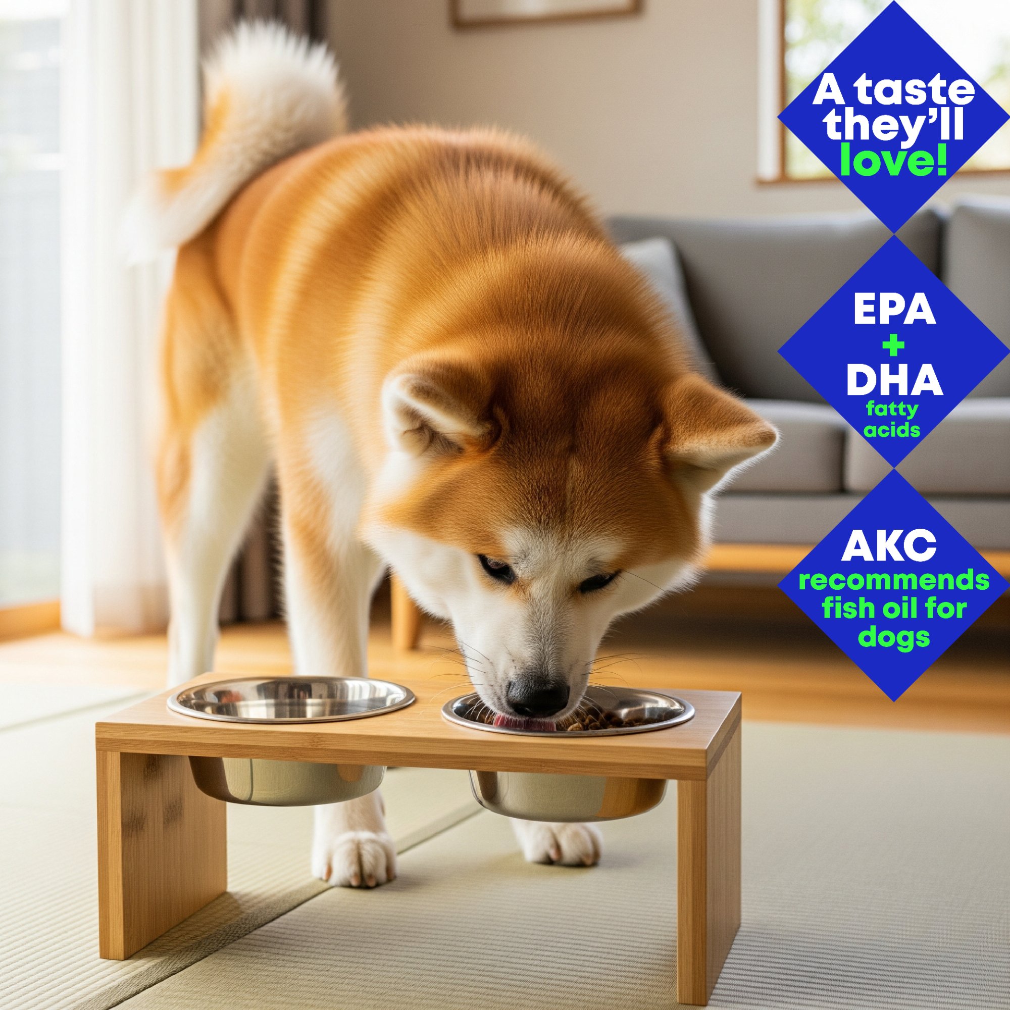 Akita enjoying fish oil support